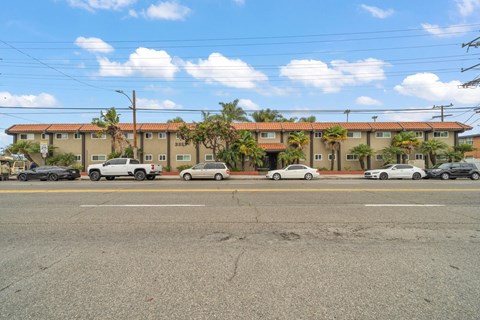 a city street with cars parked in front of a building with palm trees